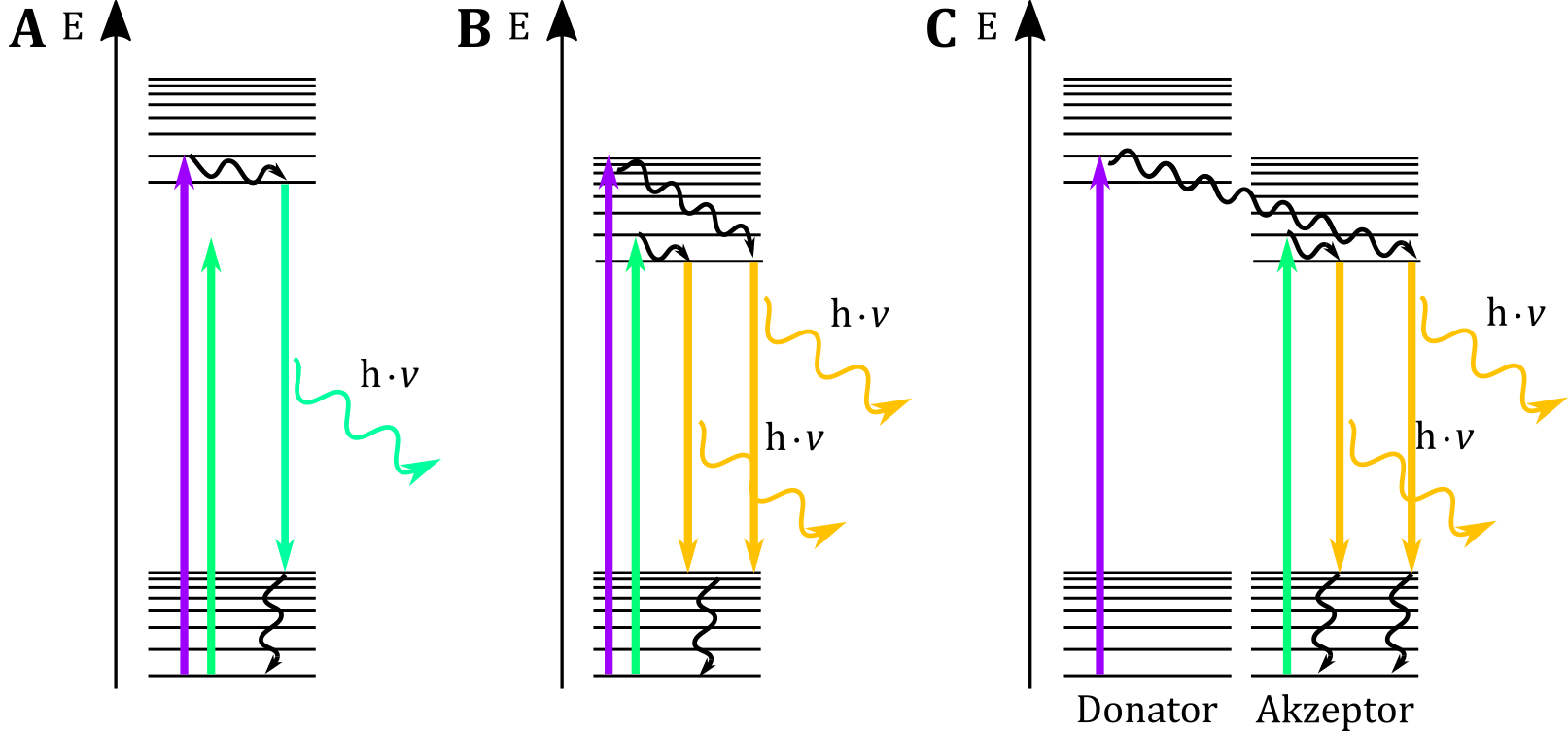 Darstellung des FRET-Effektes im JABŁOŃSKI-Diagramm. (A) der grün fluoreszierende Farbstoff kann nur mit-hilfe des violetten Lasers zur Fluoreszenz angeregt werden. (B) Der gelb fluoreszierende Farbstoff kann von beiden Lasern zu Fluoreszenz angeregt werden. (C) Bei Anregung der Farbmischung mit einem violetten Laser kommt es zur Energieübertragung auf das zweite Fluorophor, so dass eine Emission gelben Lichts folgt. 