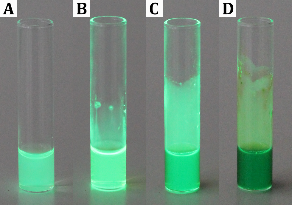 Pyraninlösung unter UV-Licht bei sukzessiver Zugabe von Pyraninkristallen.