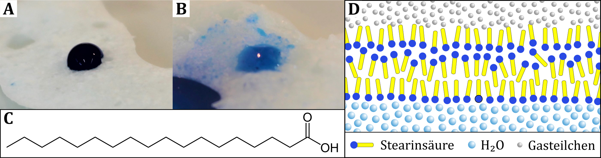 Angefärbter Wassertropfen auf der hydrophoben (A) bzw. hydrophilen Oberfläche der Stearinsäure (B). (C) Strukturformel der Stearinsäure, (D) Deutung auf Teilchenebene.