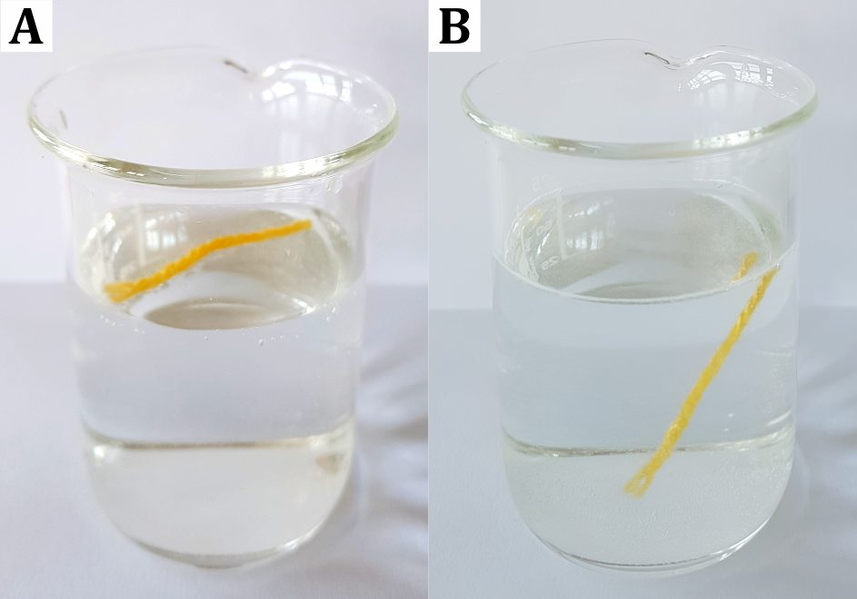 Beobachtung zum Experiment "Wollfaden auf der Wasseroberfläche". Teilabbildung A: Der Wollfaden in dem Becherglas ohne Spülmittel schwimmt auf der Wasseroberfläche. Teilabbildung B: Der Wollfaden in dem Becherglas mit Spülmittel sinkt zu Boden.